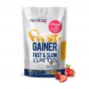 First Gainer Fast & Slow Carbs 1кг