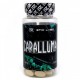 Epic Labs Caralluma Fimbriata 90таб