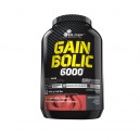  Gain Bolic 6000 4кг